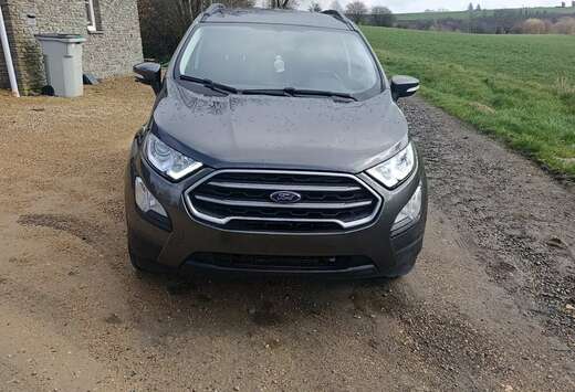 Ford 1.0 EcoBoost 100ch S&S BVM6 Trend