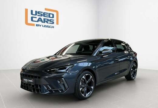 DSG+Pure-Perf.+Navi+RearView