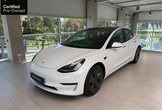 Tesla Model 3 Langstreckenbatt. Allradantrieb Dual Mo ...