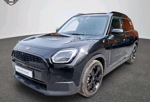 MINI Classic Trim