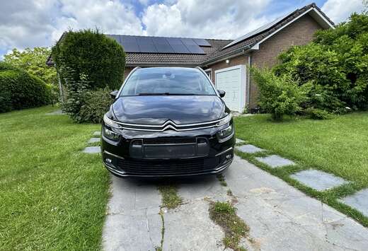 Citroen 1.5 BlueHDi Business Lounge (Fl.)(EU6.2)