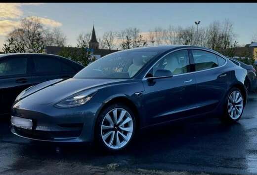 Tesla Standard Range Plus / Auto Pilot / 360 camera