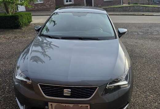 SEAT 1.2 TSI Reference