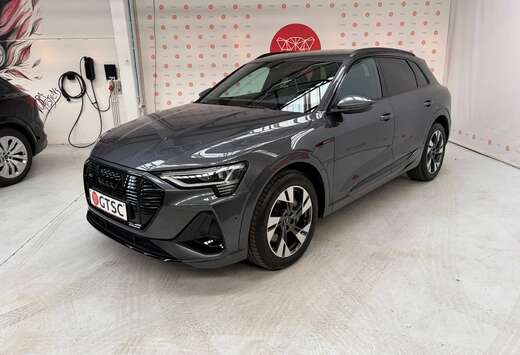 Audi 50 Quattro S line 230KW, 71kWh 50 Quattro S line ...