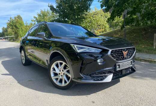 Formentor 2.0 TDI 4Drive DSG Tribe Edition