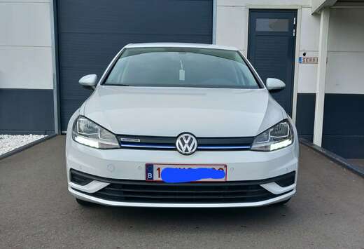 Volkswagen Golf 7  TGI  bluemotion