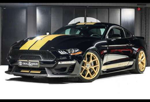 Ford SHELBY GT-H 5.0 V8FULL XPELACCKAM