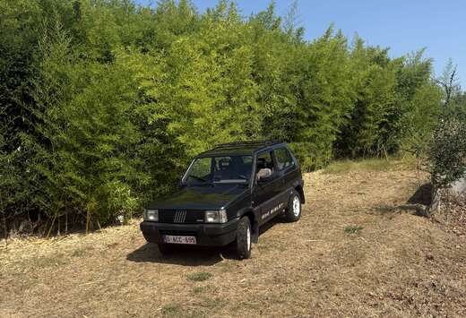 Fiat Fiat Panda 4x4 Sisley