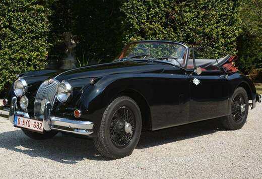 Jaguar 150