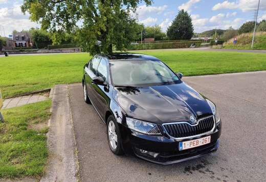 Skoda 1.4 TSI Green tec DSG Elegance