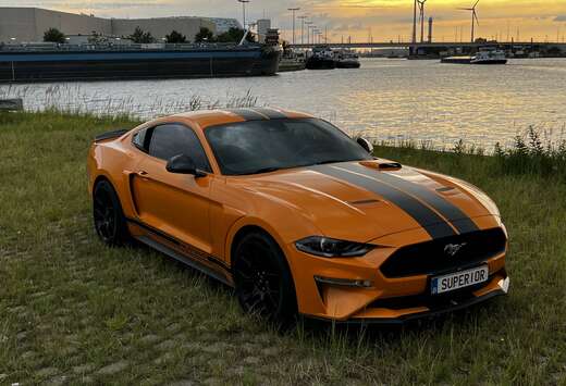 Ford 2.3 EcoBoost (EU6.2)