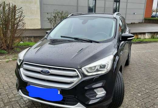 Ford 2.0 TDCi 2x4 Trend
