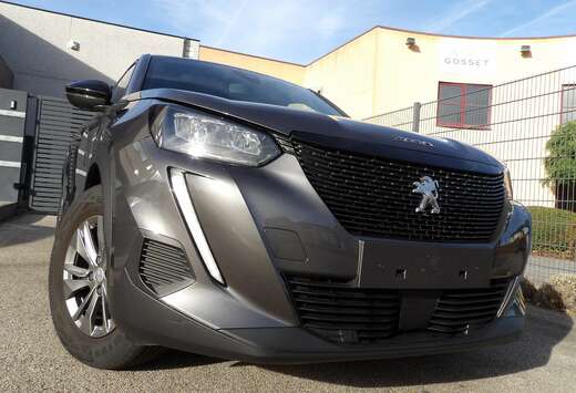 Peugeot 2008 PureTech 130 Vision Pack Camera Carplay