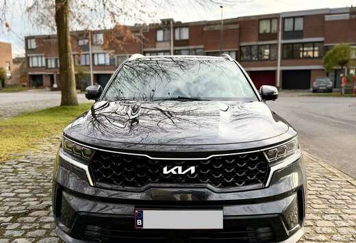 Kia PHEV 1.6 TGI AWD Pulse 7pl. (195kW)