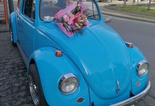 Volkswagen Volkswagen Coccinelle 1200cc - 1972