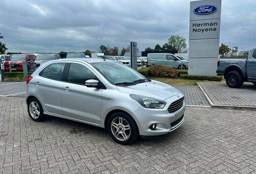 Ford Enkel voor professionele verkoop.