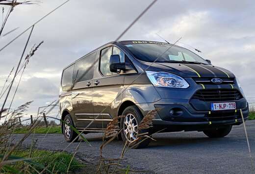 Ford 290 L1H2 LKW VA Basis