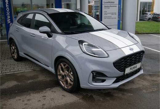 Ford ST-Line Gold Edition 1.0i EcoBoost mHEV 155ps /  ...