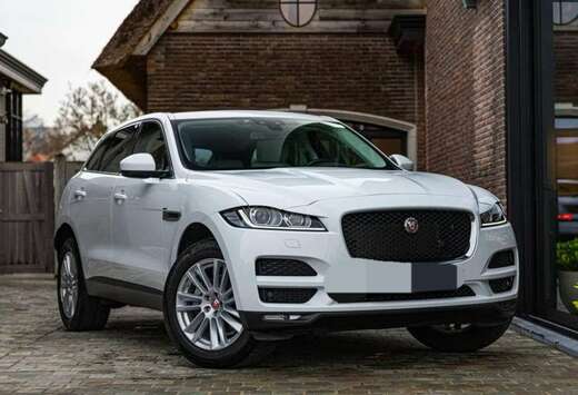 Jaguar F-Pace 2.0 D AWD Prestige Business Edition