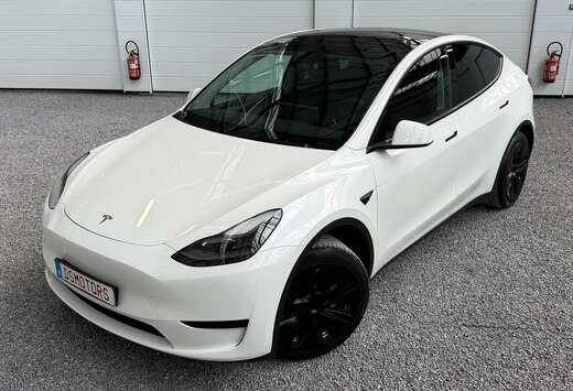 Tesla RWD LONG RANGE  BTW wagen  * GERESERVEERD *