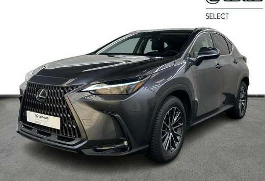 Lexus Executive Line PHEV