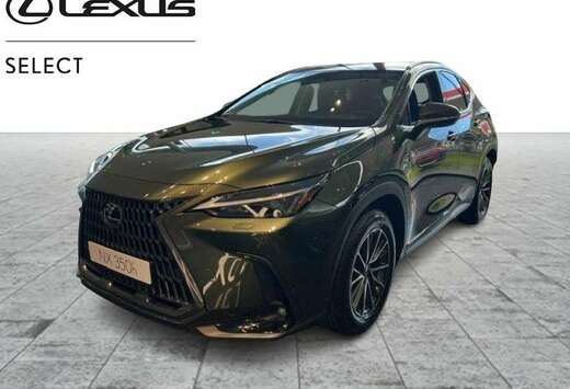 Lexus Executive Line