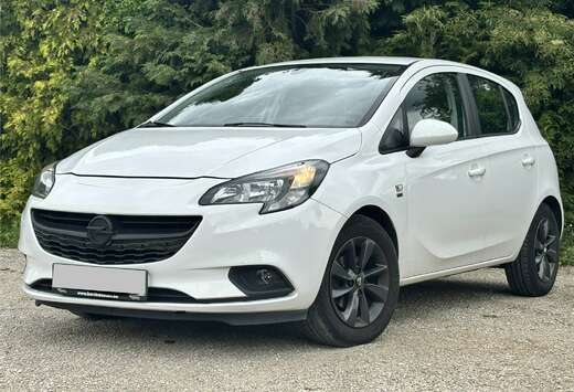 Opel Gekeurd V.V.  1 Eigenaar  Carplay  Dealeronder
