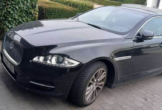 Jaguar XJ 3.0D V6 Luxury