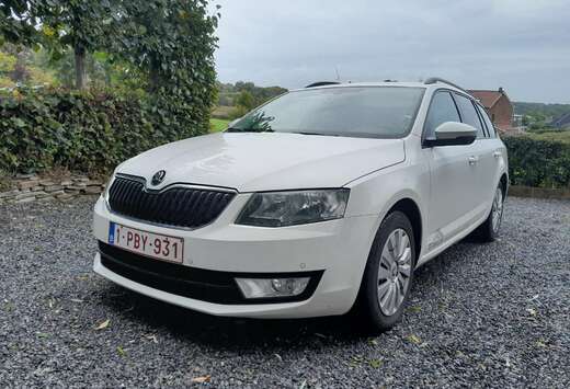 Skoda Combi 1.6 TDI 105 ch CR FAP Green Tec Business  ...