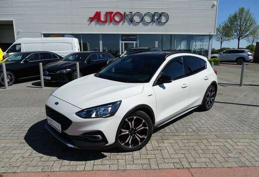 Ford Focus Active X 2.0 EcoBlue * TOPSTAAT