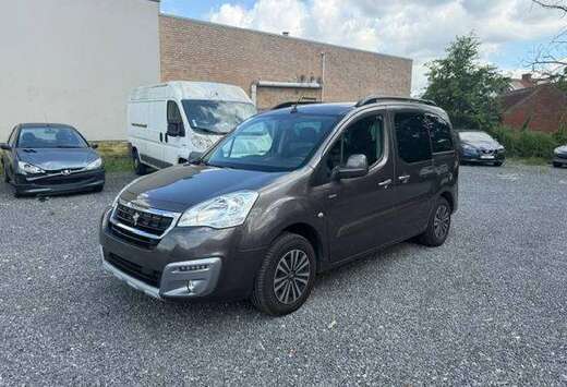 Peugeot tepee