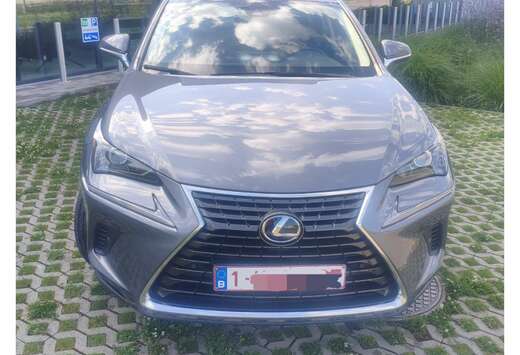 Lexus Business Edition