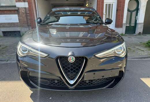 Alfa Romeo Stelvio 2.9 T V6 AWD Quadrifoglio-Licht vr ...