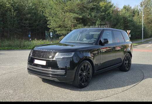 Land Rover D300 HSE | Lichte Vracht | Garantie tot 5/ ...