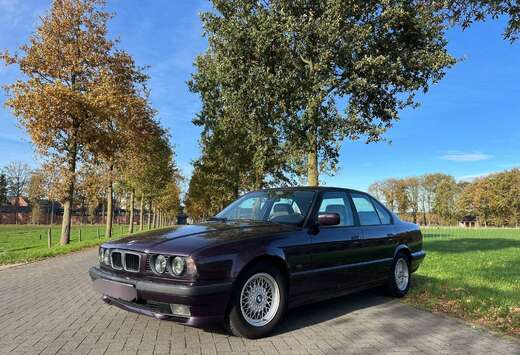 BMW 525i 24V Executive