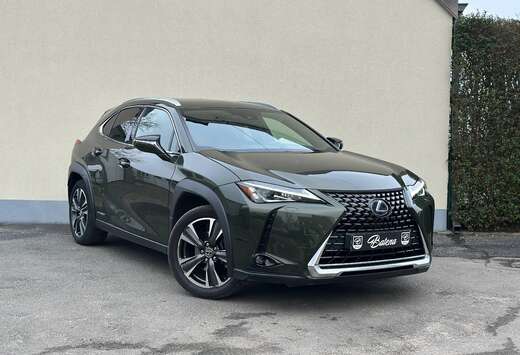 Lexus Leder Camera Zetelverwarming Keyless Auto koffe ...