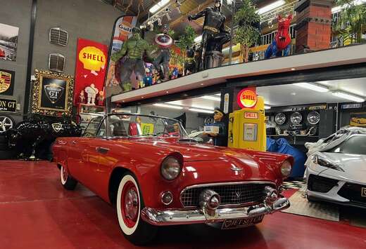 Ford Cabriolet 4800cc de 1955 *** Papier Belge ***