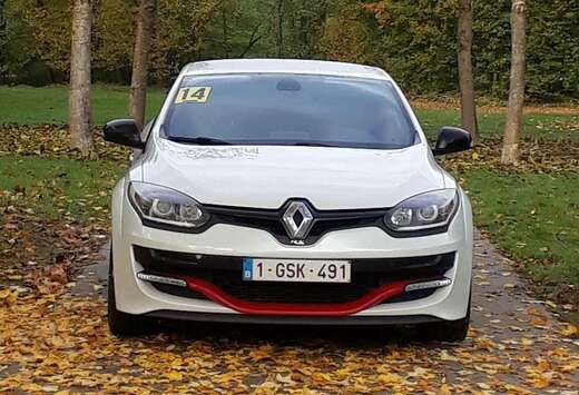 Renault 2.0 T RS S