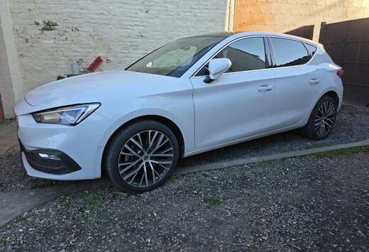 SEAT 2.0 TDI EVO Xcellence DSG (EU6AP)