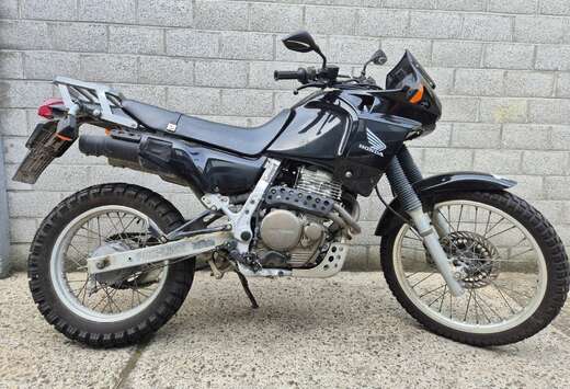 Honda Dominator xr