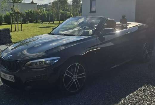 BMW Cabrio 218i OPF