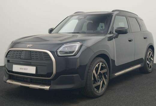 MINI Favoured Trim