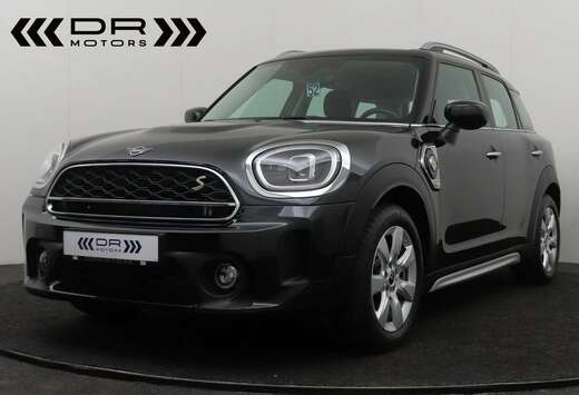 MINI HYBRID -
