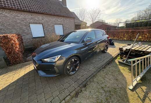 Leon 1.5 eTSI MHEV DSG