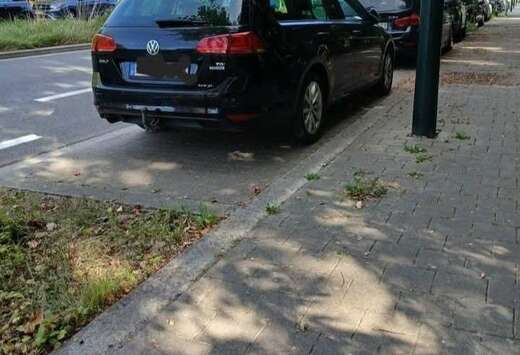 Volkswagen SW 1.6 CR TDi 4Motion Trendline