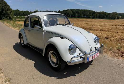 Volkswagen 1600