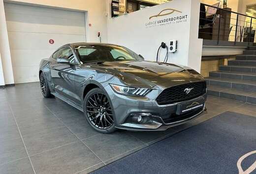 Ford COUPE ECOBOOST BENZINE + BLACK PACK