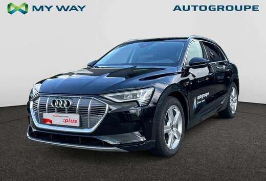 Audi Advanced 55 quattro 300 kW