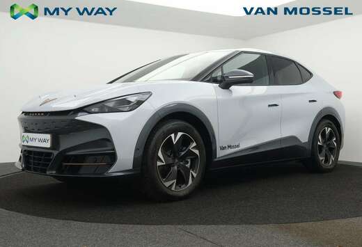 Tavascan Endurance Corporate 286pk DEMO