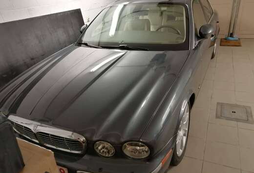 Jaguar